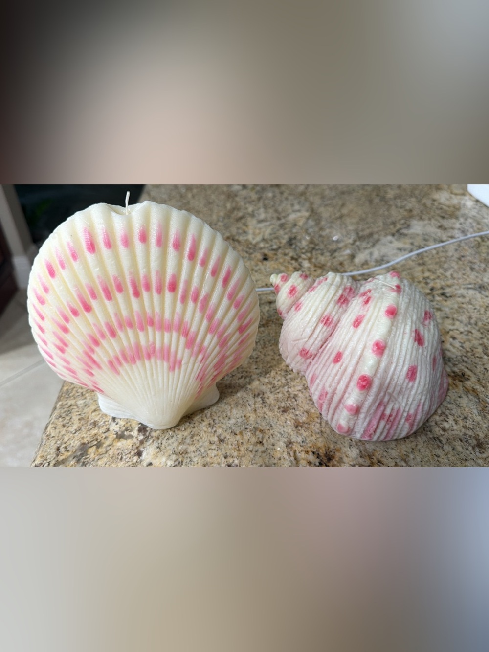Seashell Candle Set - White and Pink Home Accents